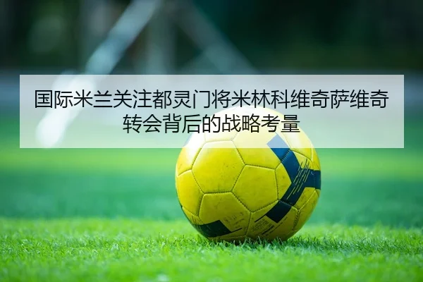 国际米兰关注都灵门将米林科维奇萨维奇转会背后的战略考量（kaiyun）